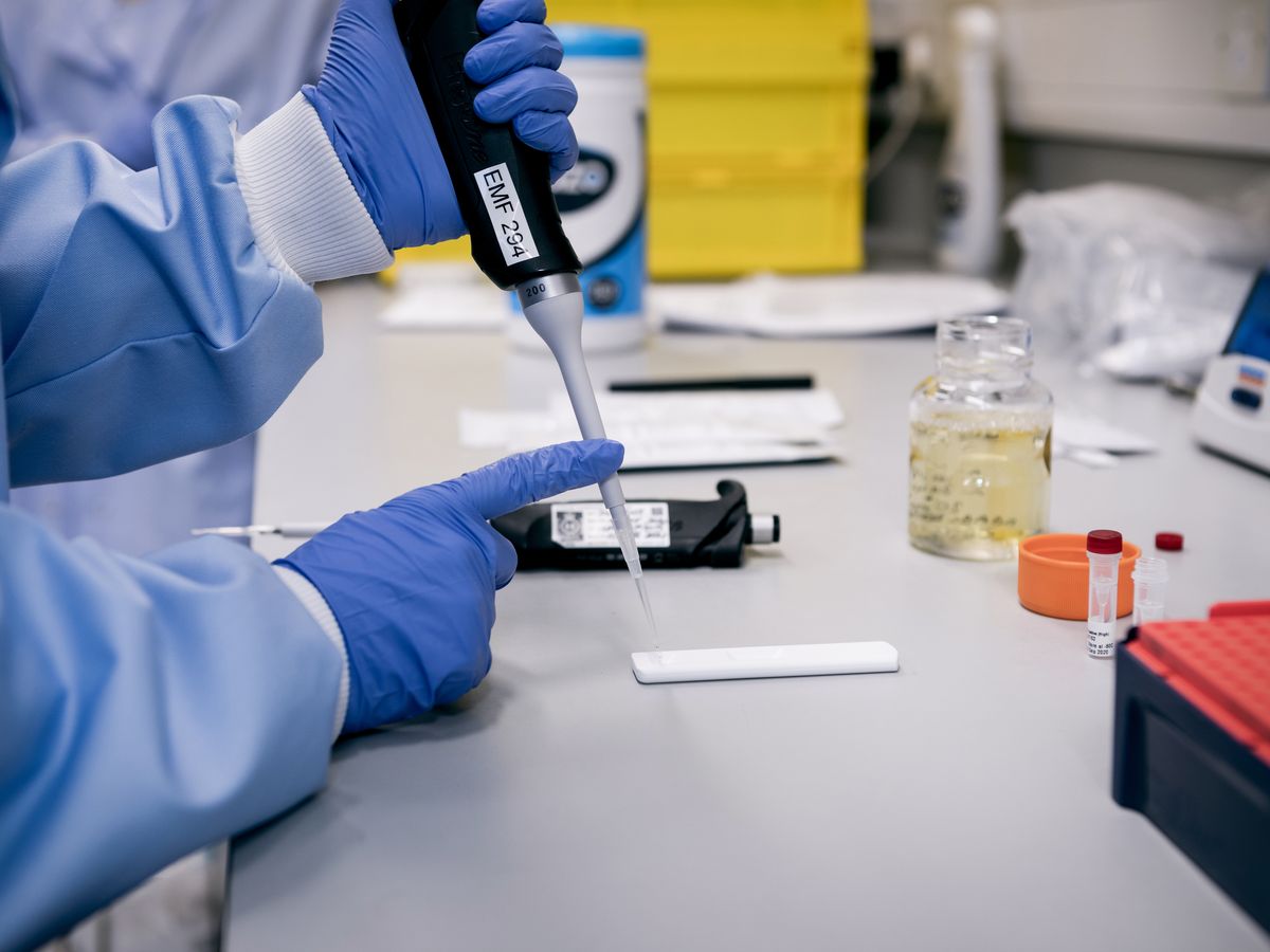 Scientist pipetting onto a lateral flow strip
