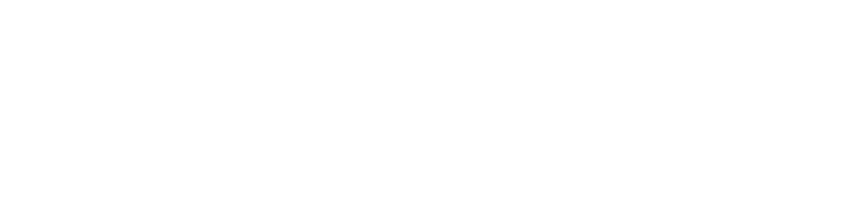 Pocket Diagnostic