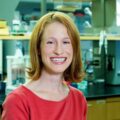 Dr Katie Brenner