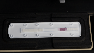 Lateral flow test strip with gold nanoparticles