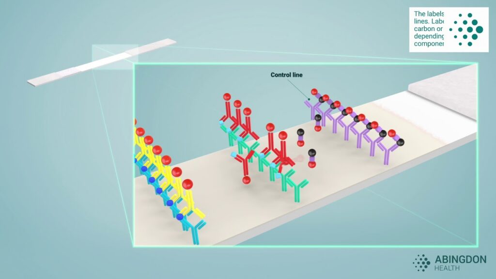 Vital Material Selection Considerations for Developing Your Lateral Flow Assay