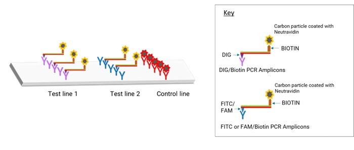 Revolutionising Diagnostics